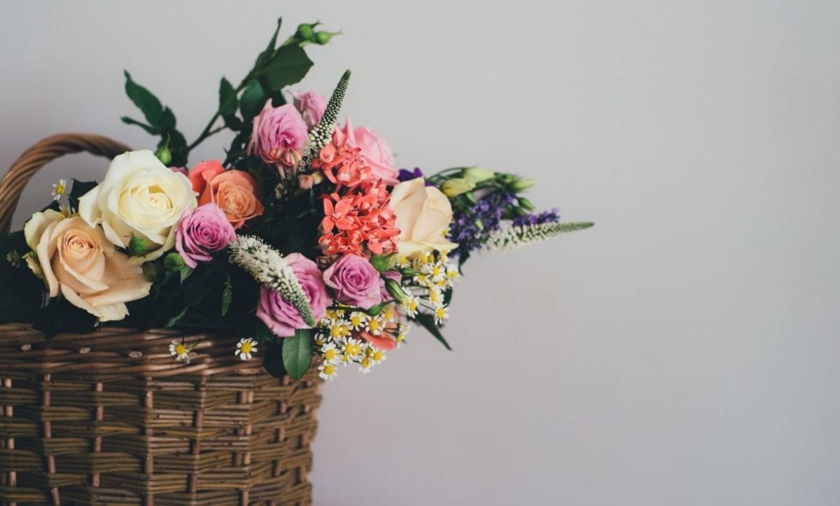 Mother's Day Bonus Points