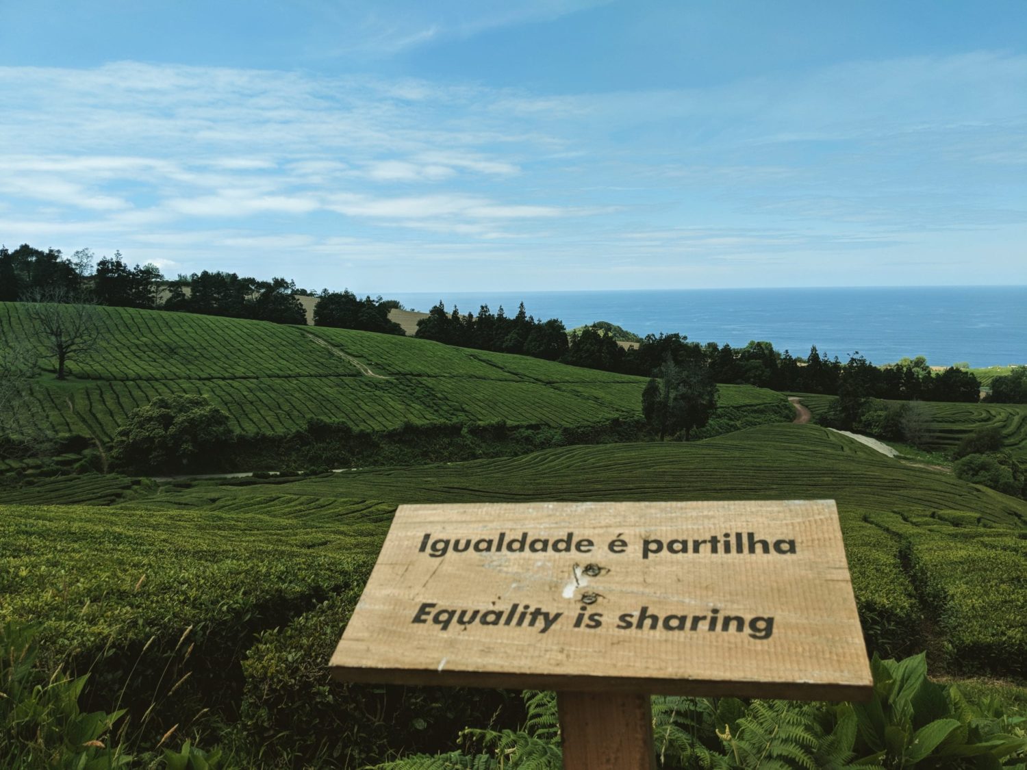 Gorreana Tea Plantation