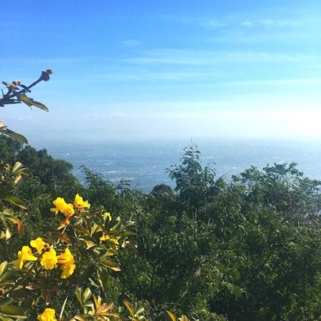 Thrifty Traveler's Guide to Thailand: A Beginner's Guide 11 Thailand