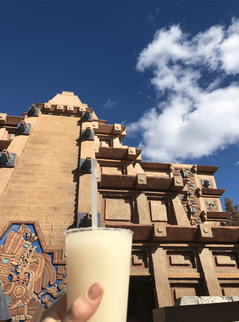 disney world for adults