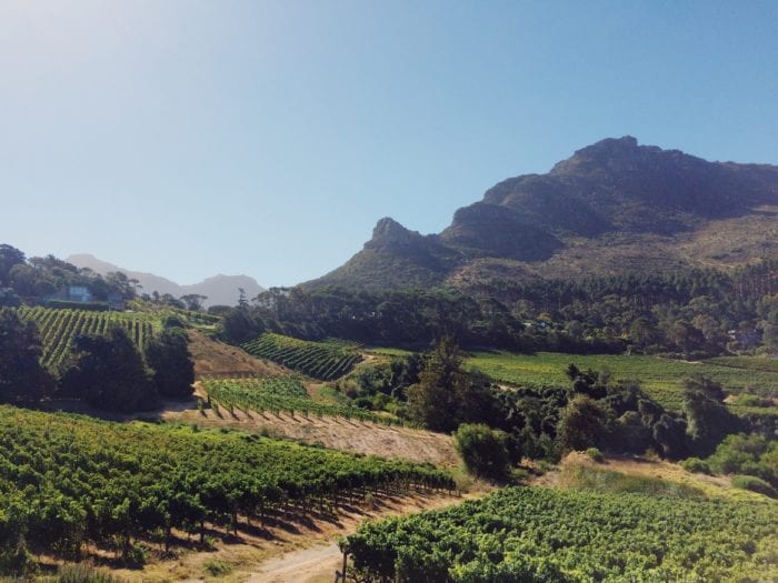 Thrifty Traveler's Guide to Cape Town, South Africa 4 A large green field with a mountain in the background