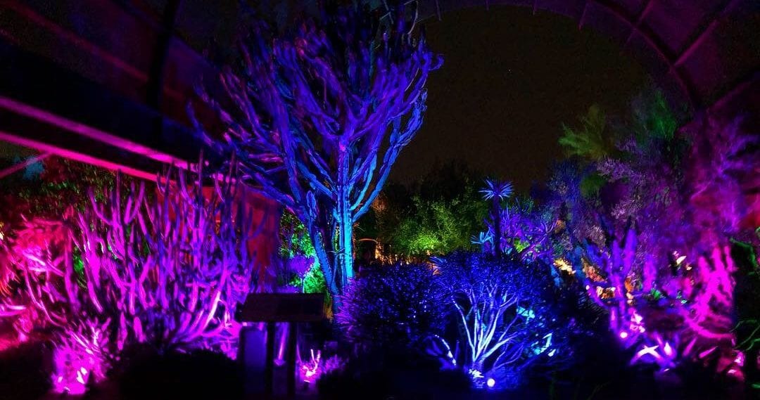 electric desert phoenix