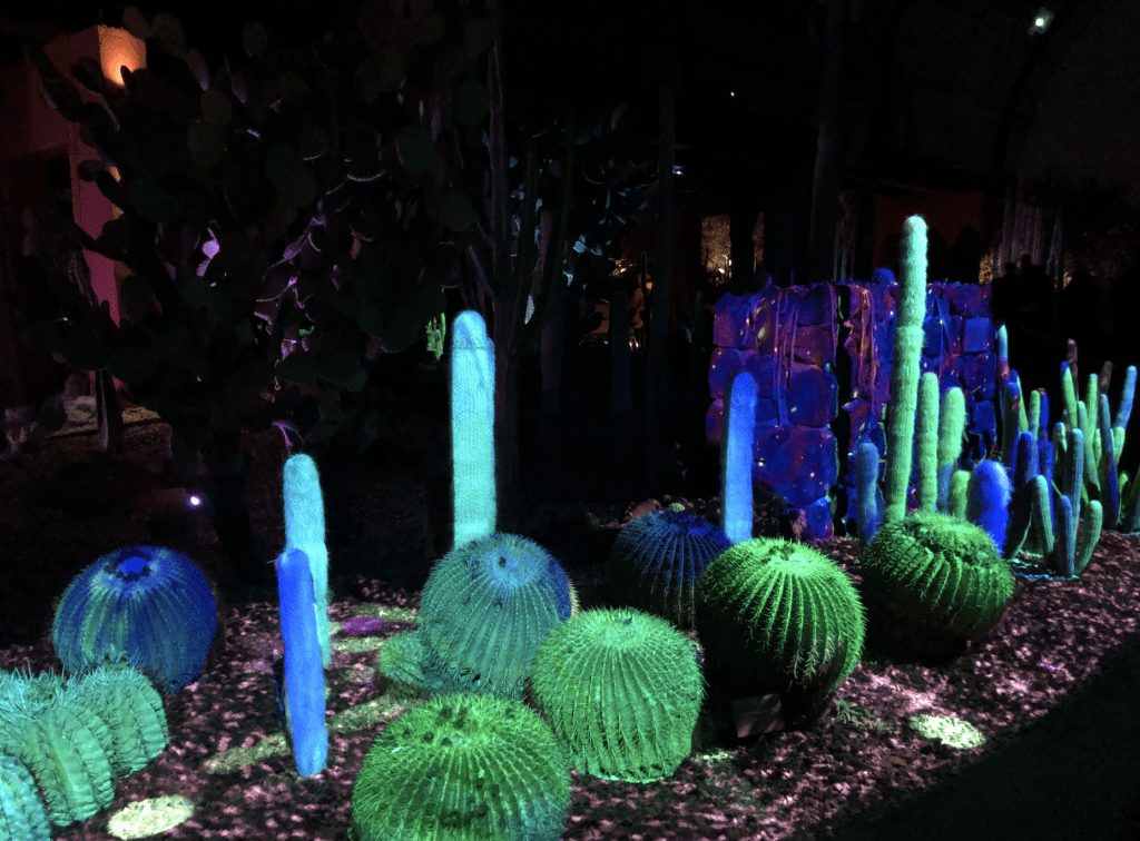 electric desert phoenix