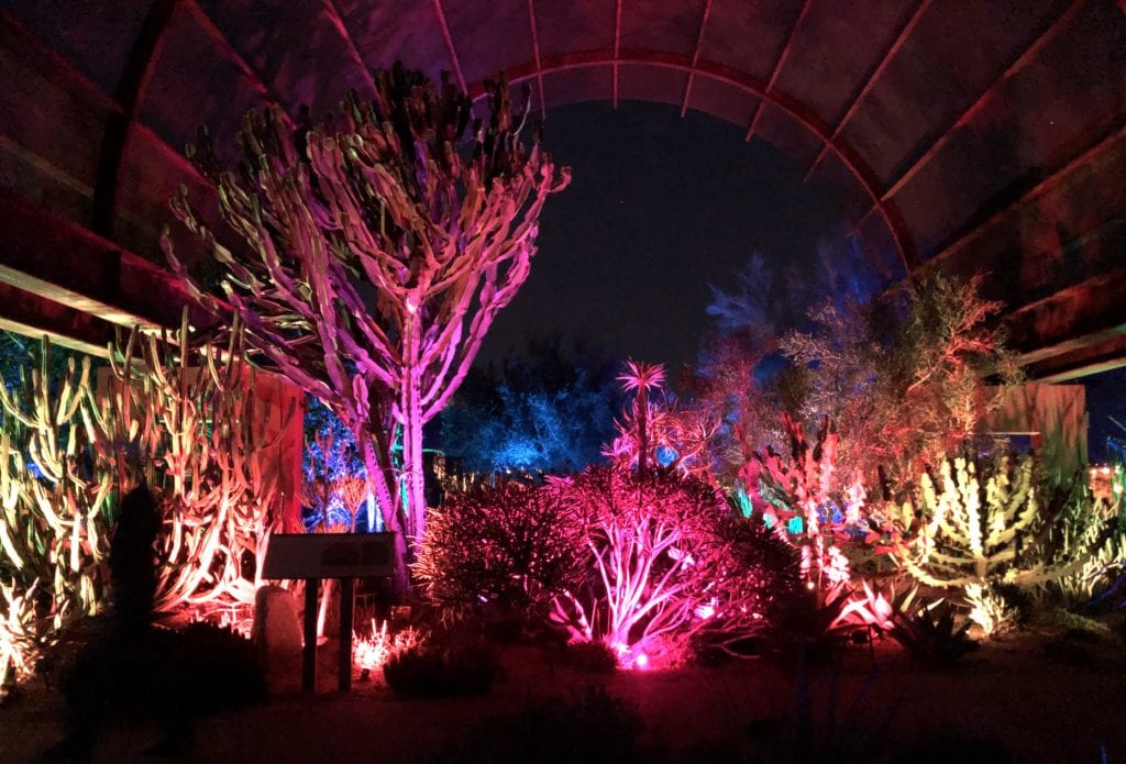 electric desert phoenix