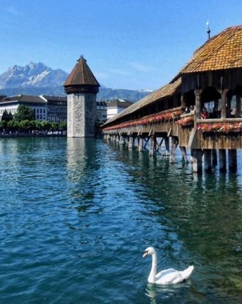 4 Small Towns in Switzerland You Need to Visit 9 A bird standing in front of a body of water with Kapellbrücke in the background