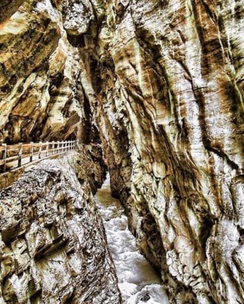 4 Small Towns in Switzerland You Need to Visit 6 A close up of a rock next to a tree