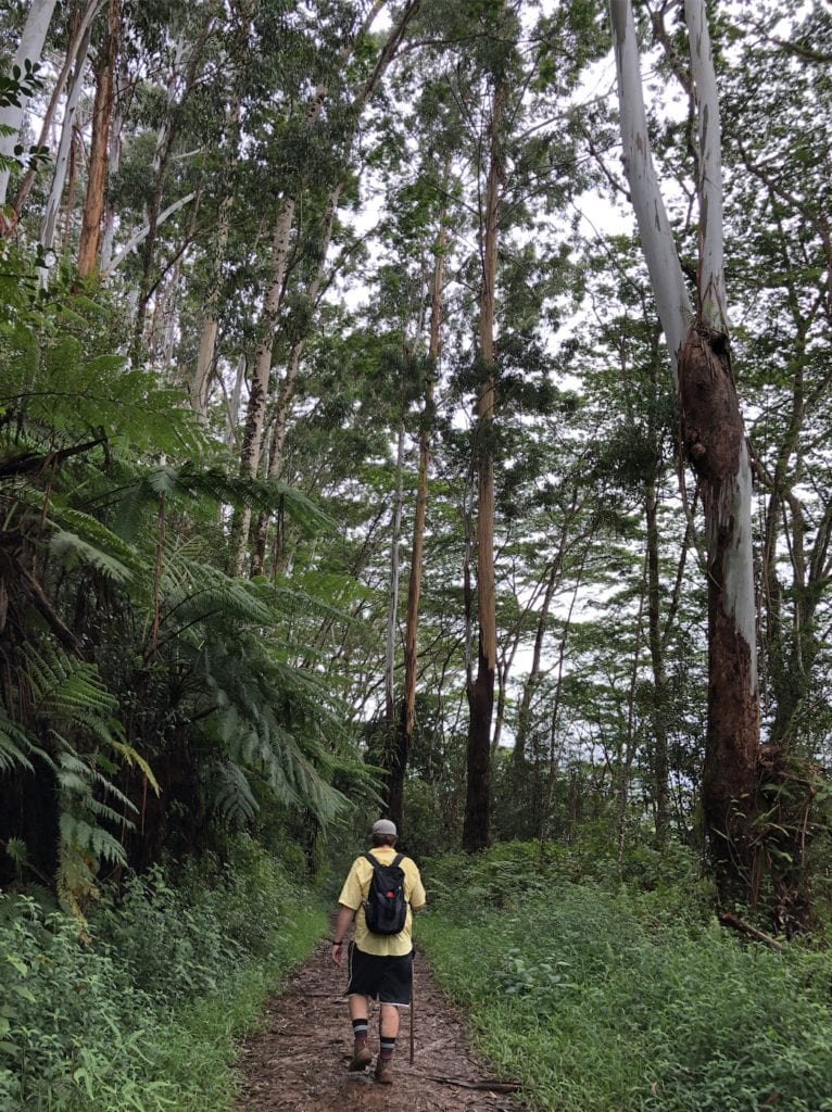 kauai hikes