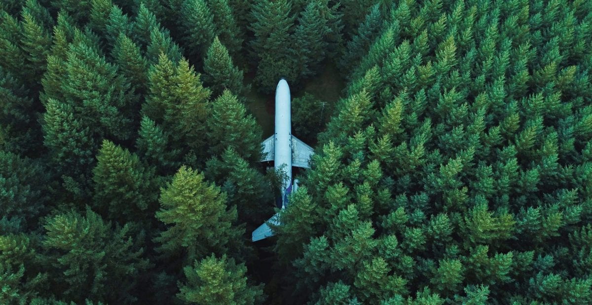 an airplane in a forest