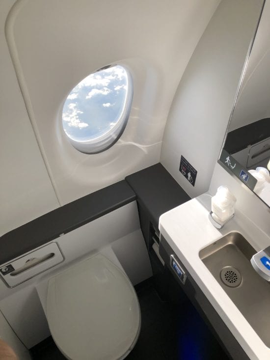 6 Things to Love About the Delta A220 4 delta a220 lavatory