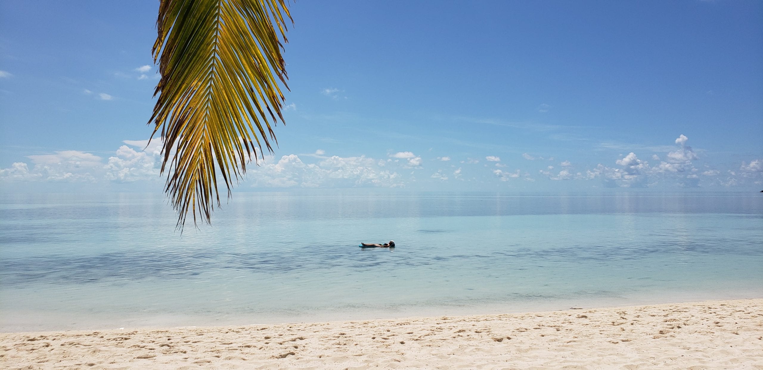 white sand beach with a person floating in the ocean. A palm tree branch hangs in the frame.