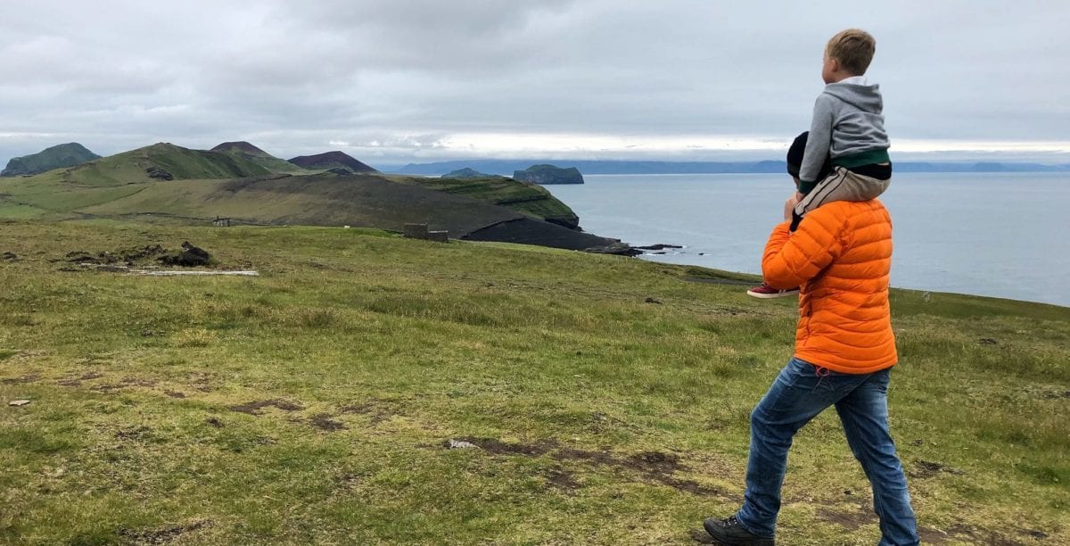 A young boy flying a kite on a grassy hill
