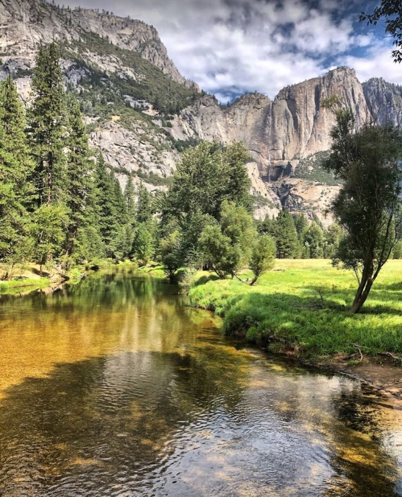 A close up of a pond of water with a mountain in the background