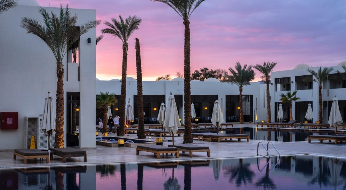 A group of palm trees at a hotel