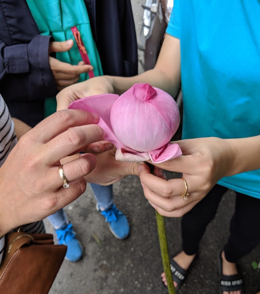 A person holding a flower