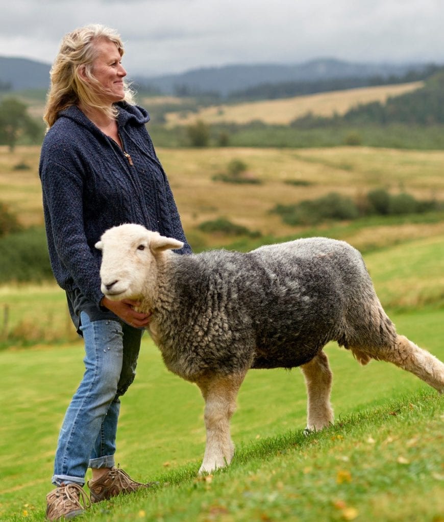 Airbnb Gets Cuddly with Airbnb Animal Experiences 3 A couple of sheep standing on top of a grass covered field