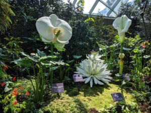 A close up of a flower garden