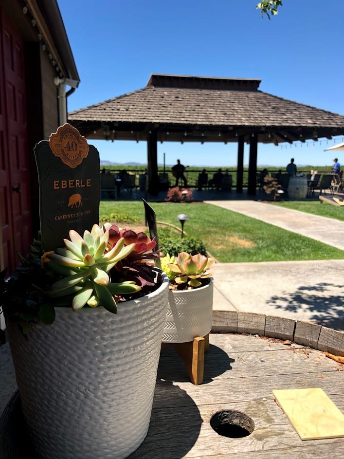 A close up of a flower garden