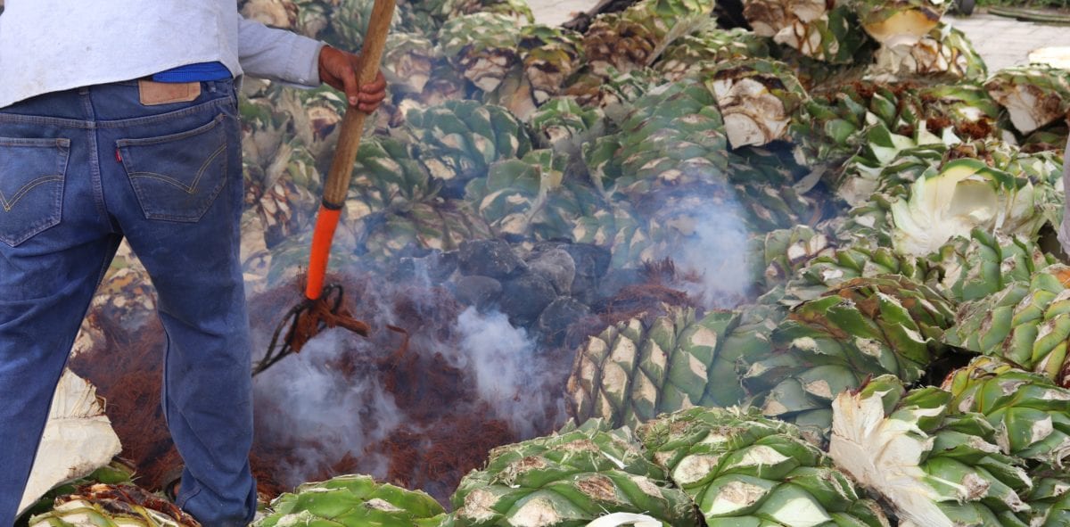 Move Over, Tequila: It's Time for Mezcal, the Spirit of Oaxaca 2 Mezcal production