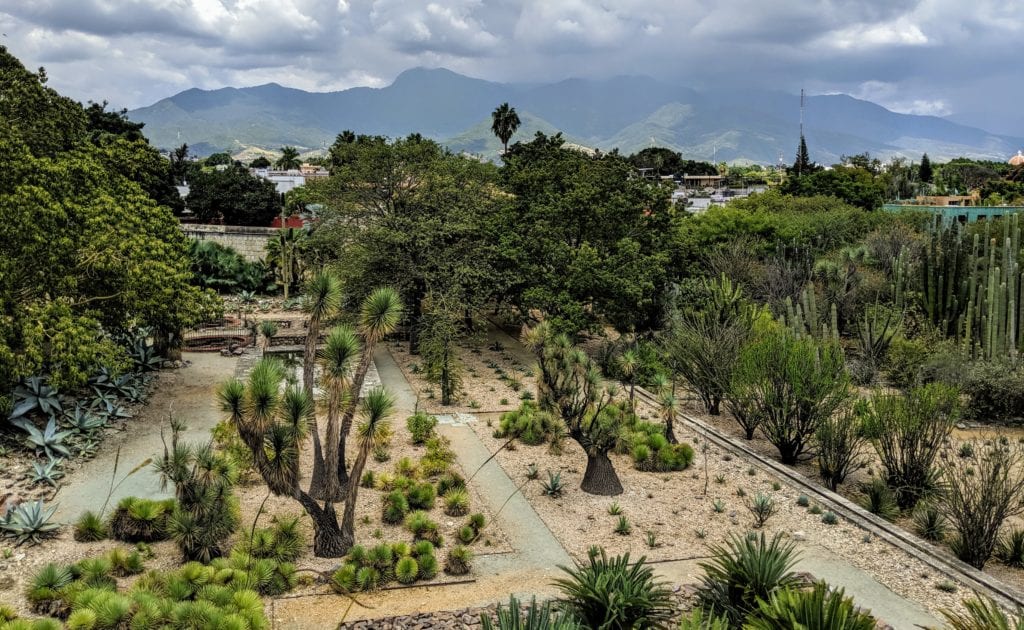 Don't Miss Oaxaca, Mexico's Up-and-Coming Hot Spot 5 Jardin Etnobotanico Oaxaca
