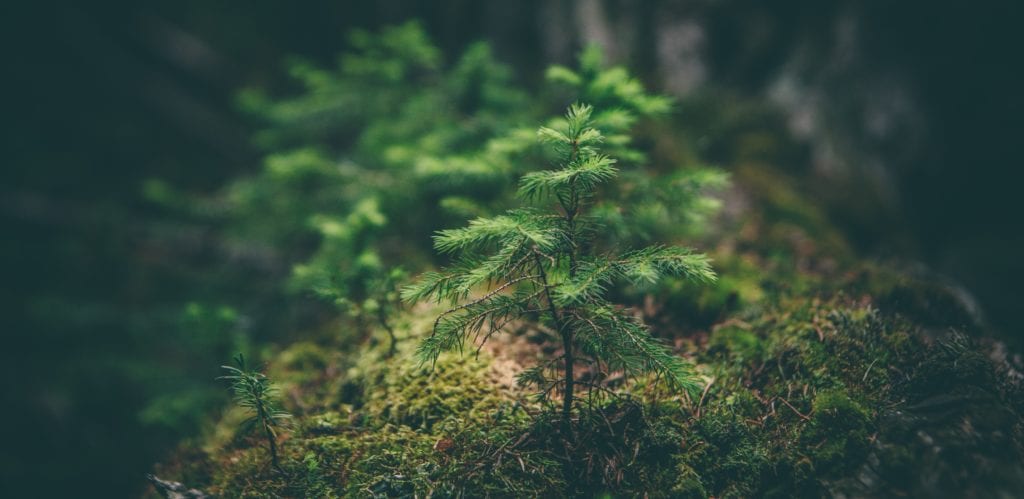 Flight Shaming is Spreading: Is it Coming for Your Travel Plans? 5 flight shaming