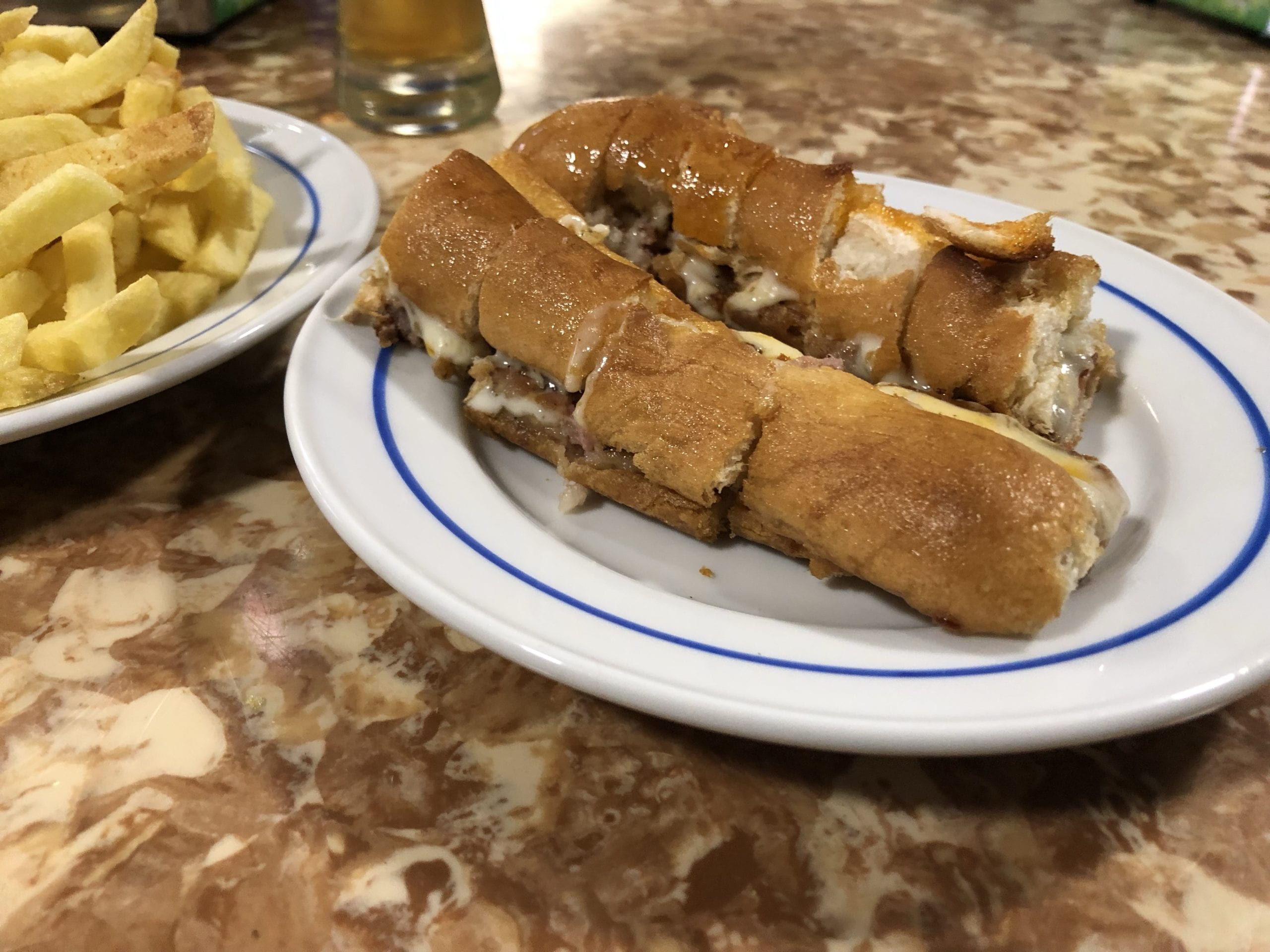 cachorros porto portugal