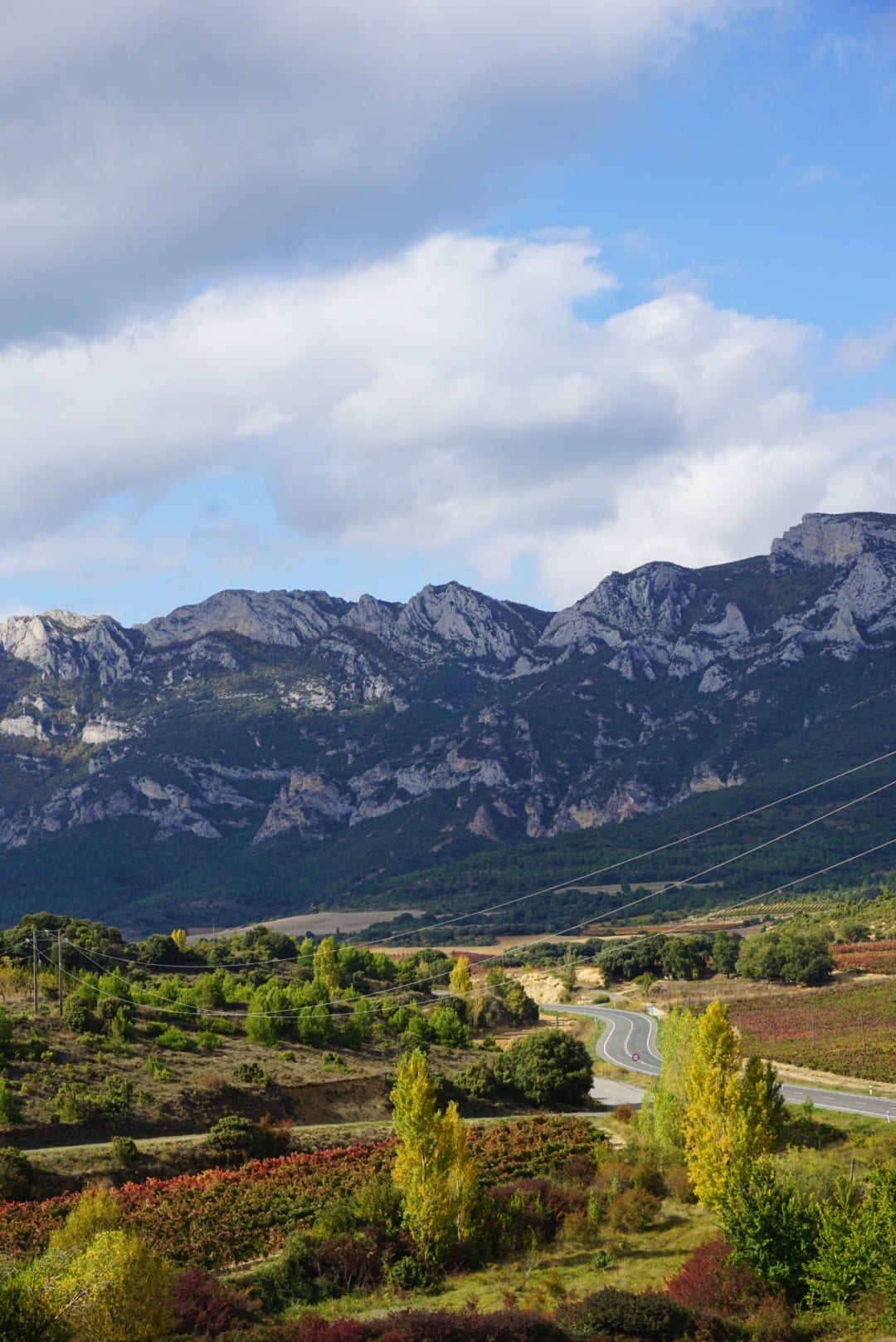 landscape la rioja spain