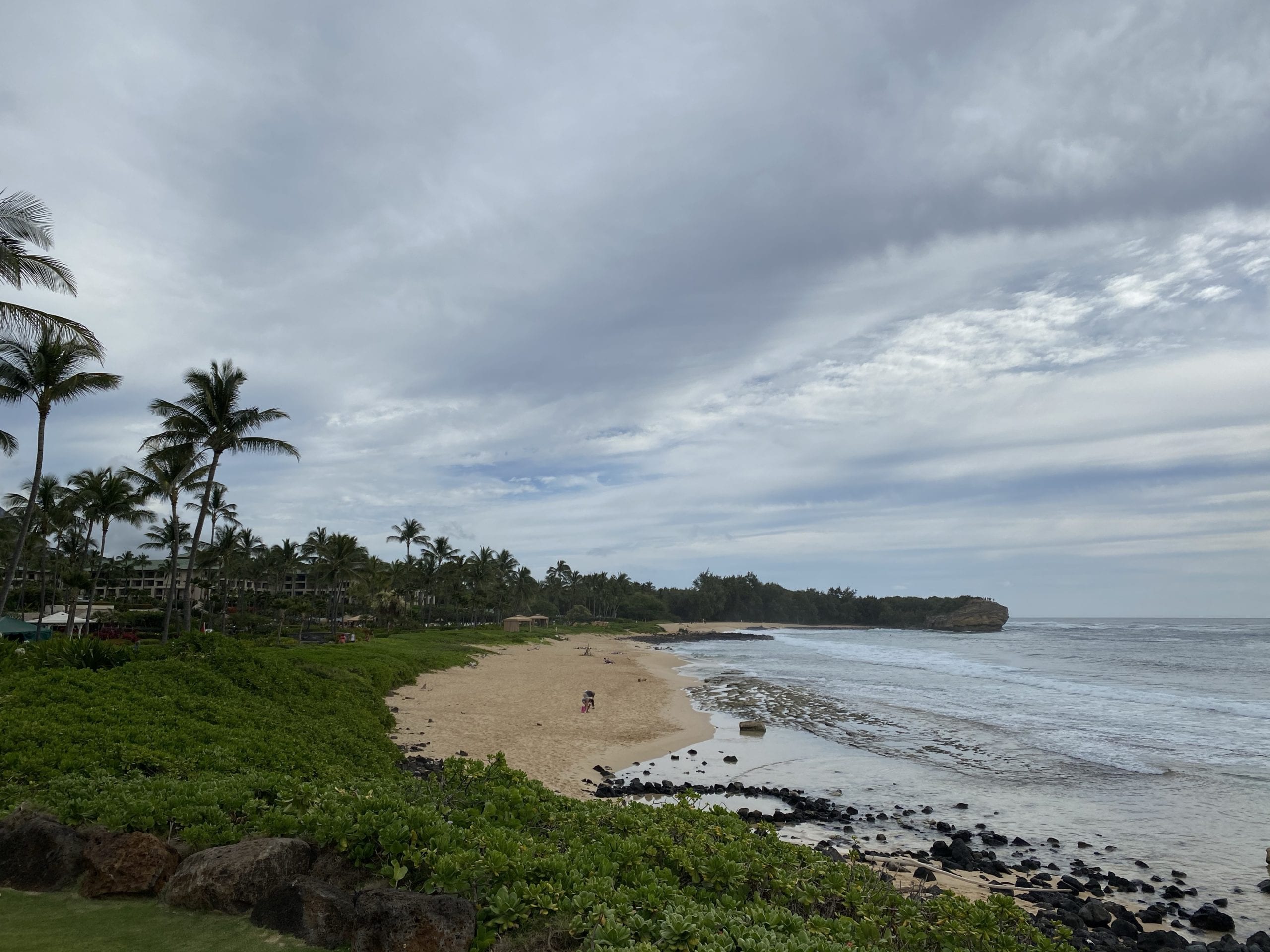 a long beach on the water surrounded by greenery