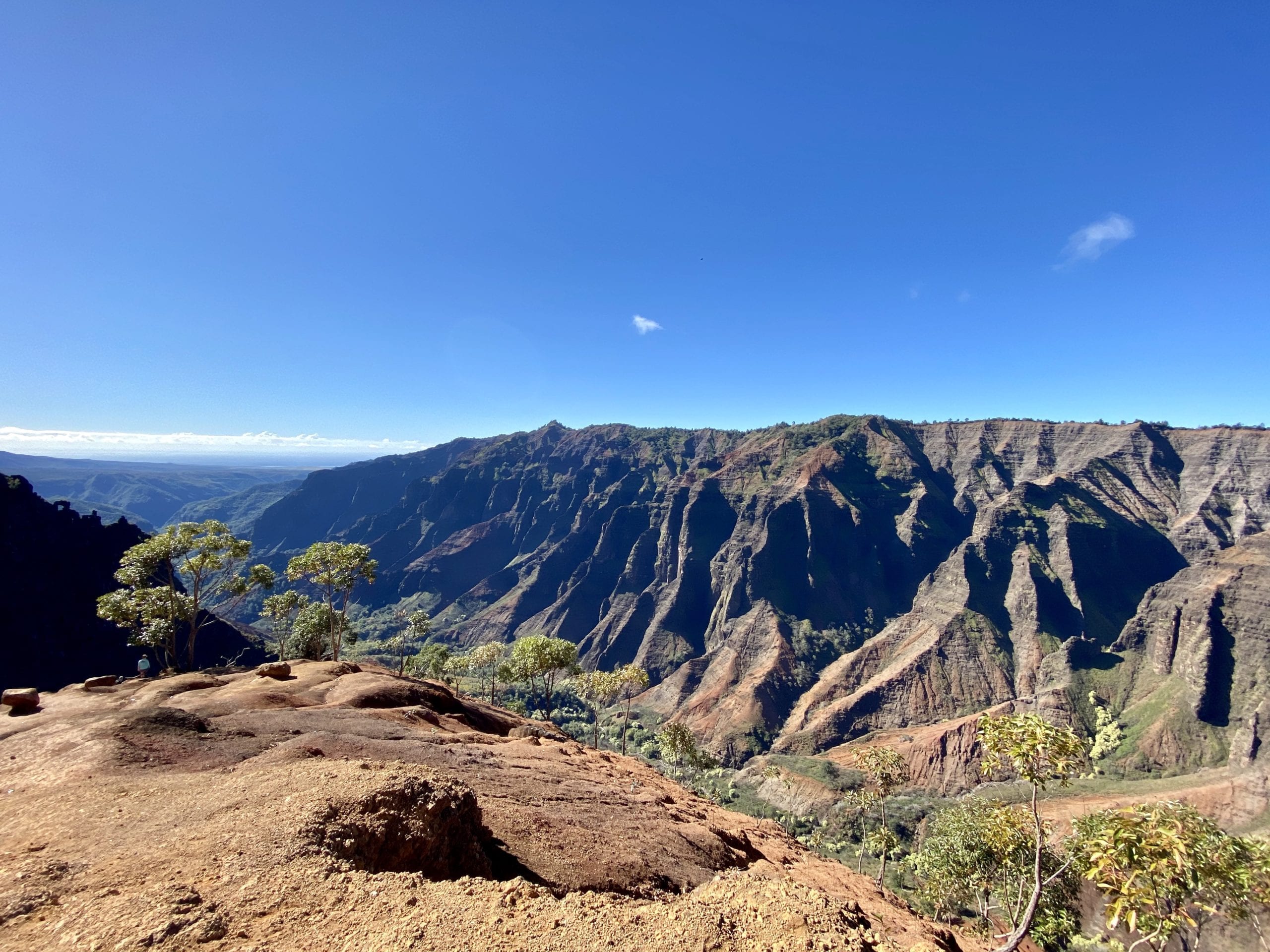 large canyons in waimea canyon
