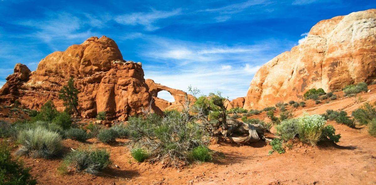 A canyon with a mountain in the background
