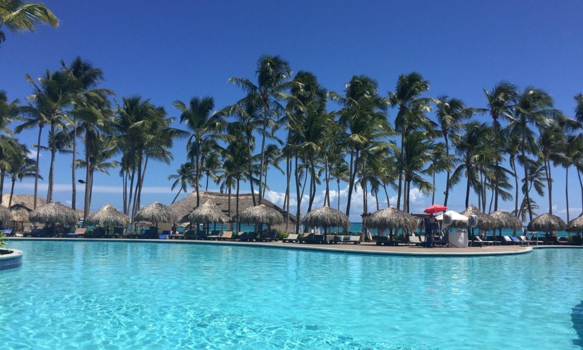 A pool next to a body of water surrounded by palm trees