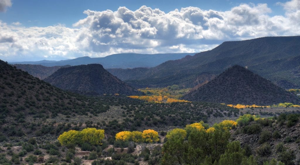 domestic travel restrictions