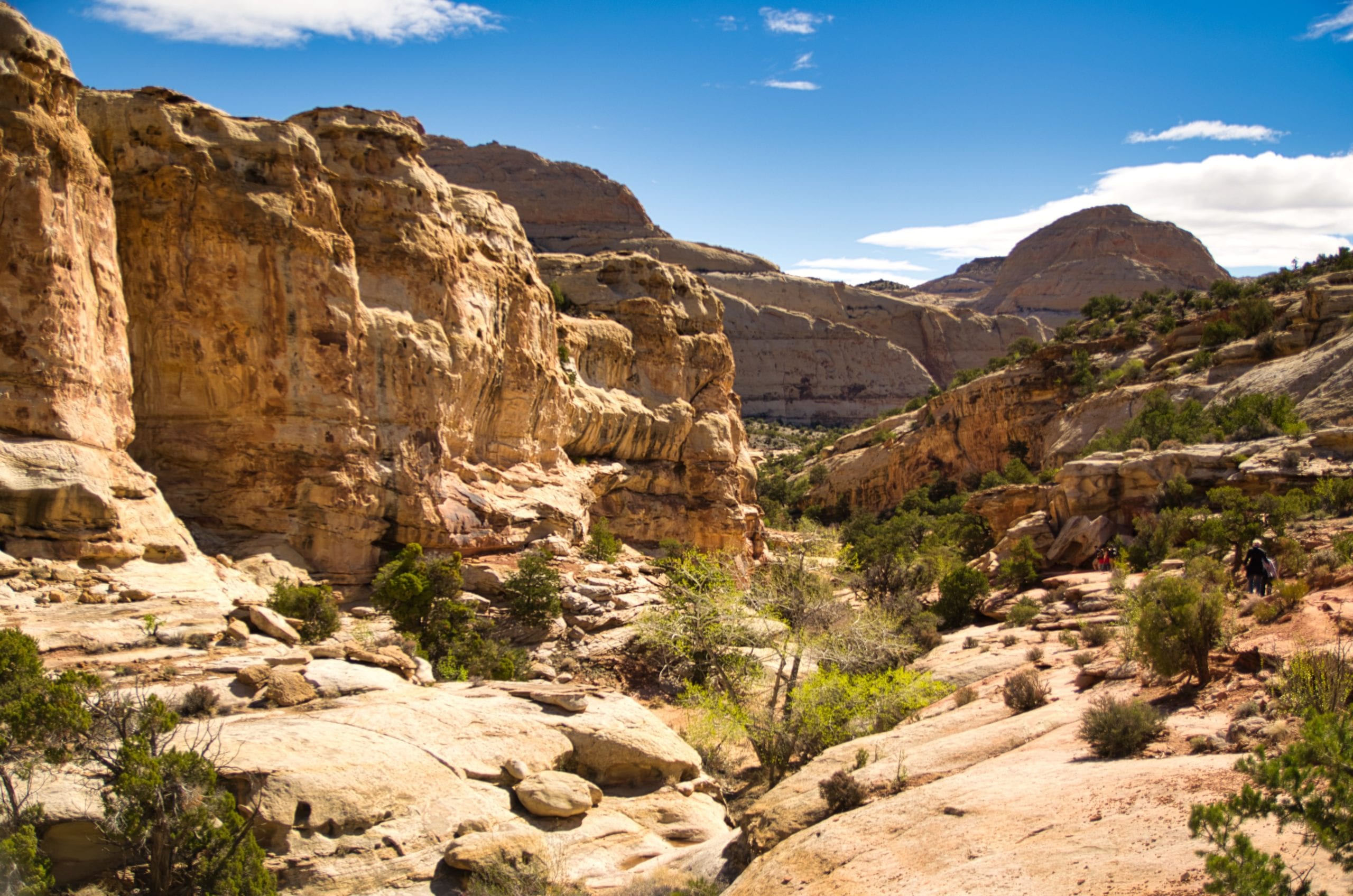 A canyon on a rocky hill