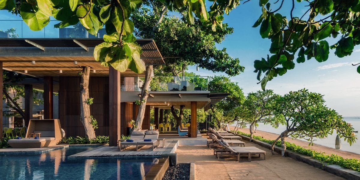 A group of palm trees on the side of a building