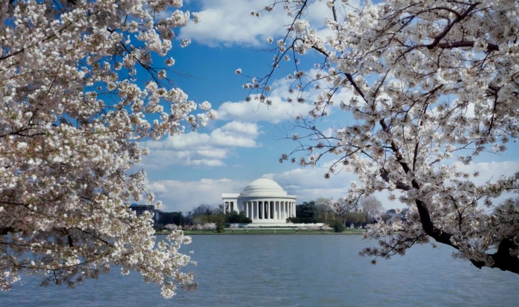 domestic travel restrictions