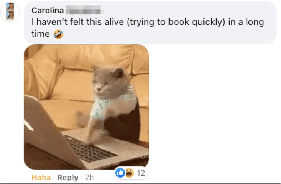 A cat with its mouth open