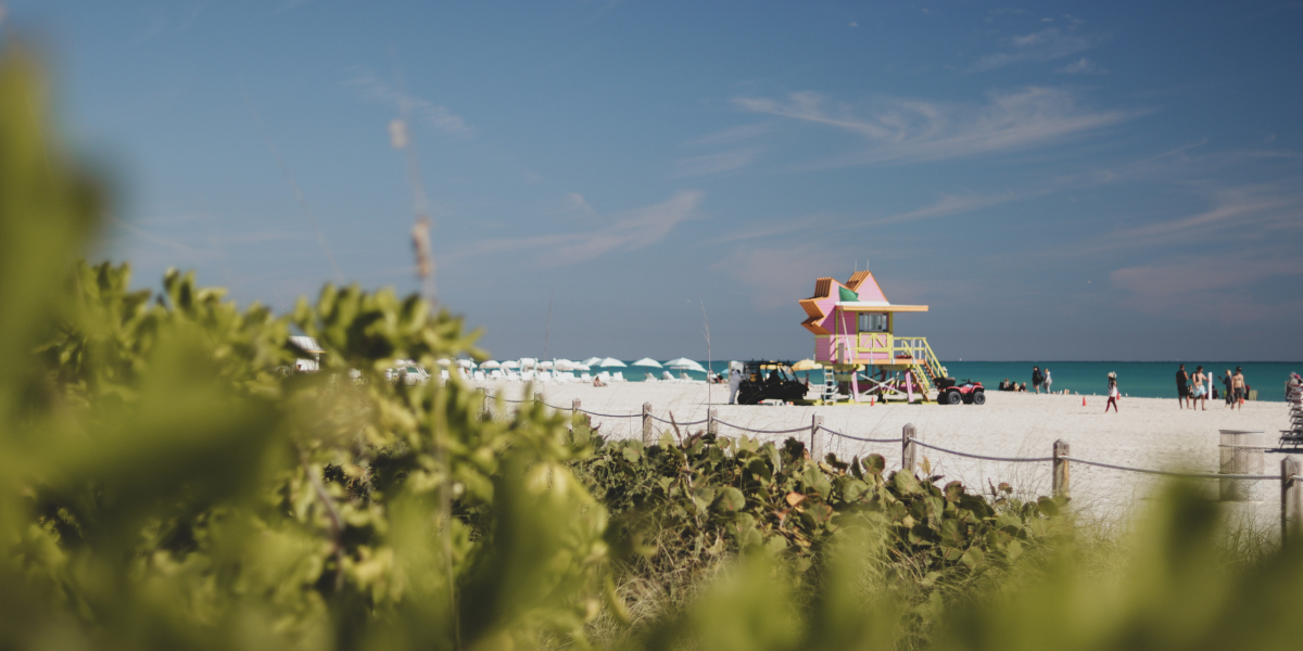 cheap domestic flights