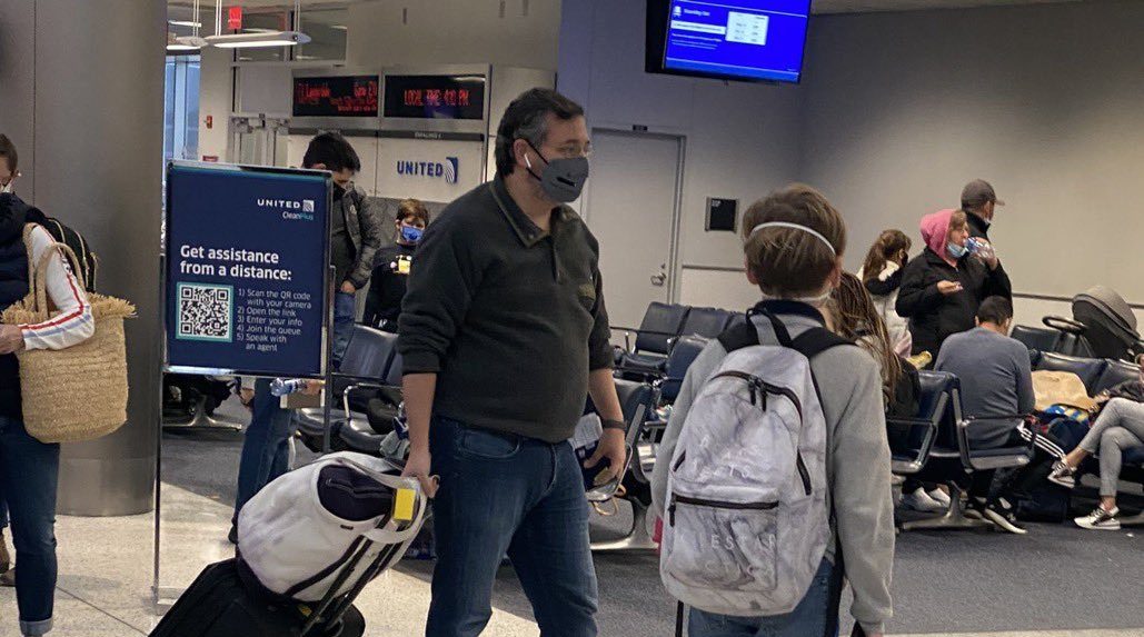 ted cruz at the airport