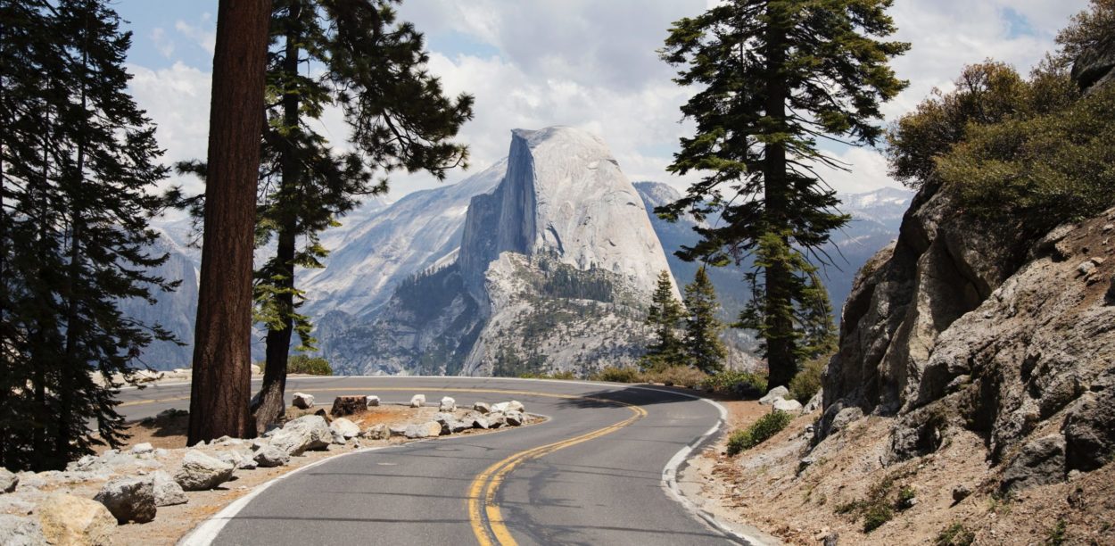 A tree with a mountain in the background