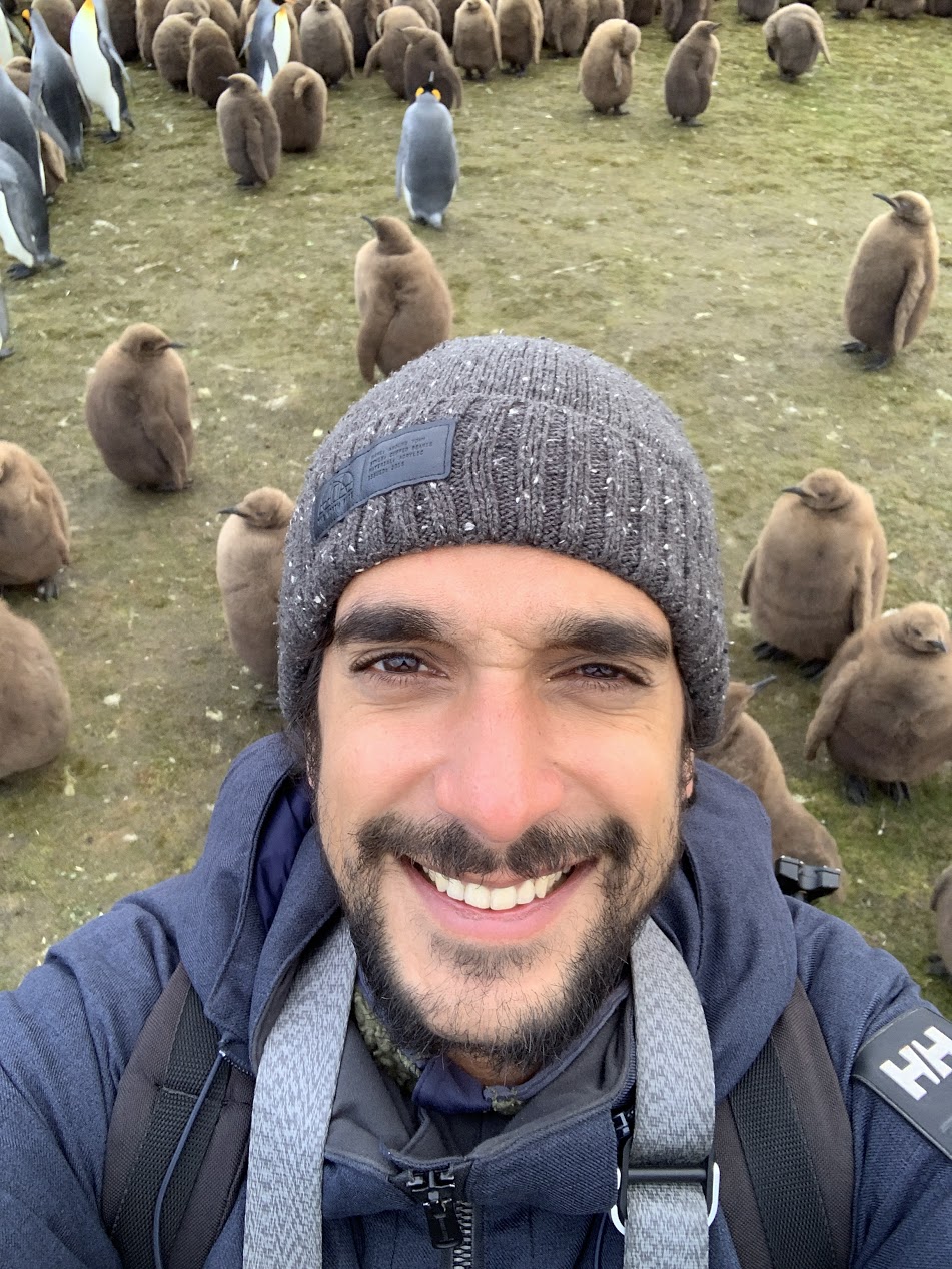 Sebastian modak penguins