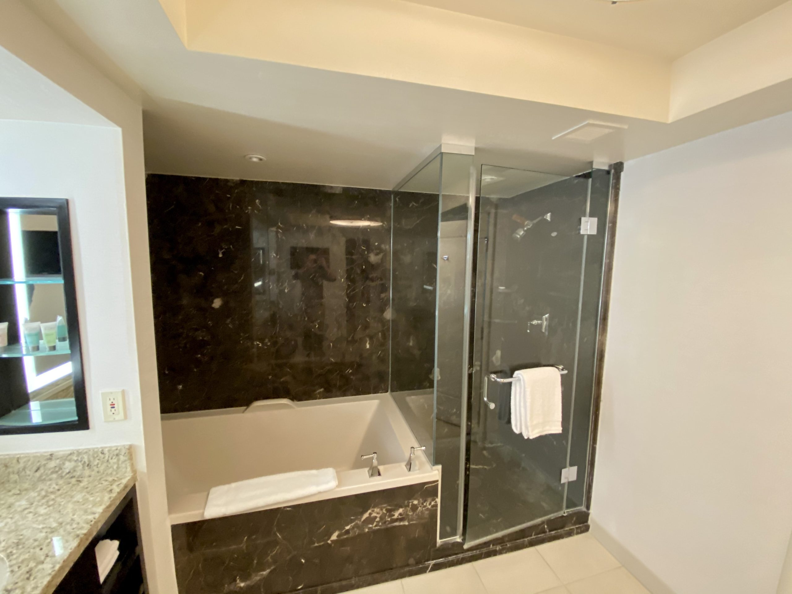 delano las vegas room