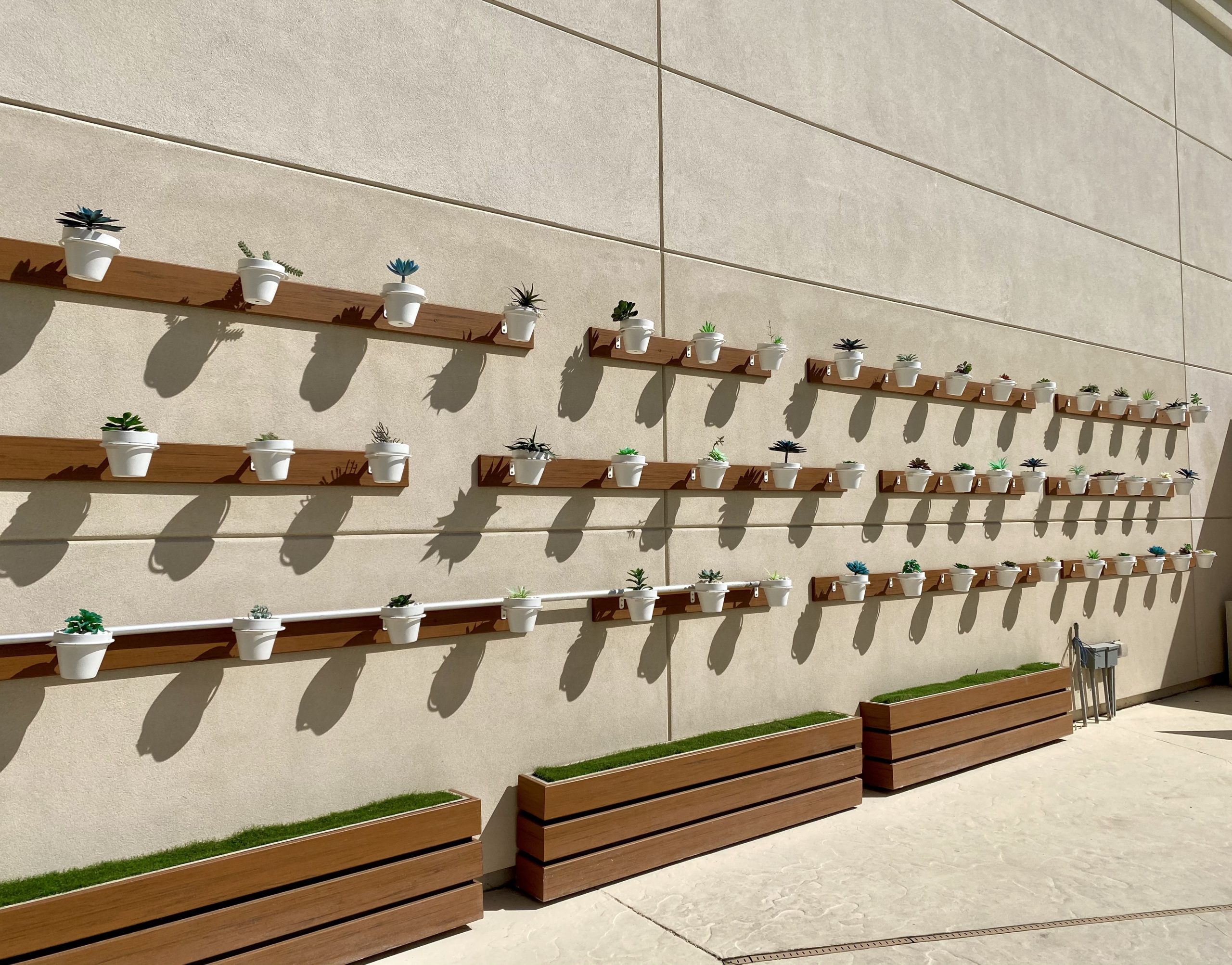 delano las vegas pool