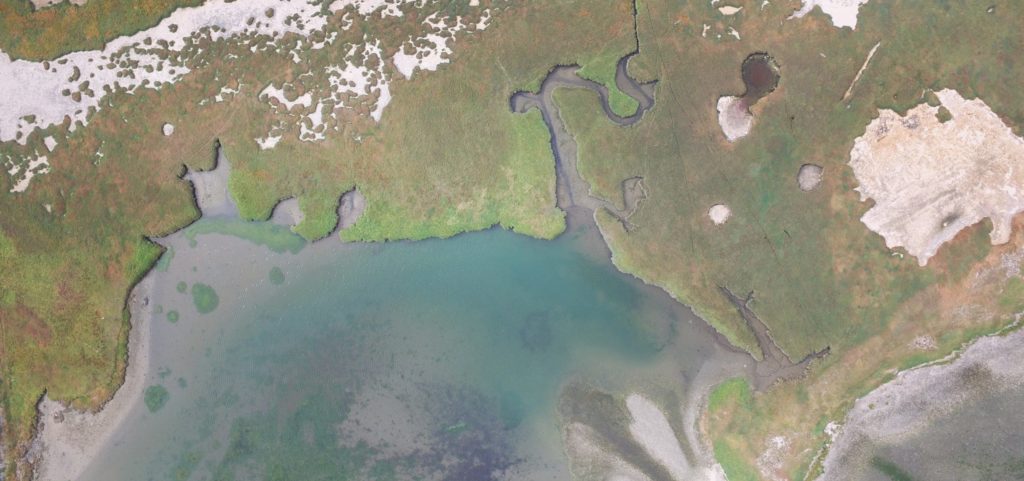 san juan islands washington