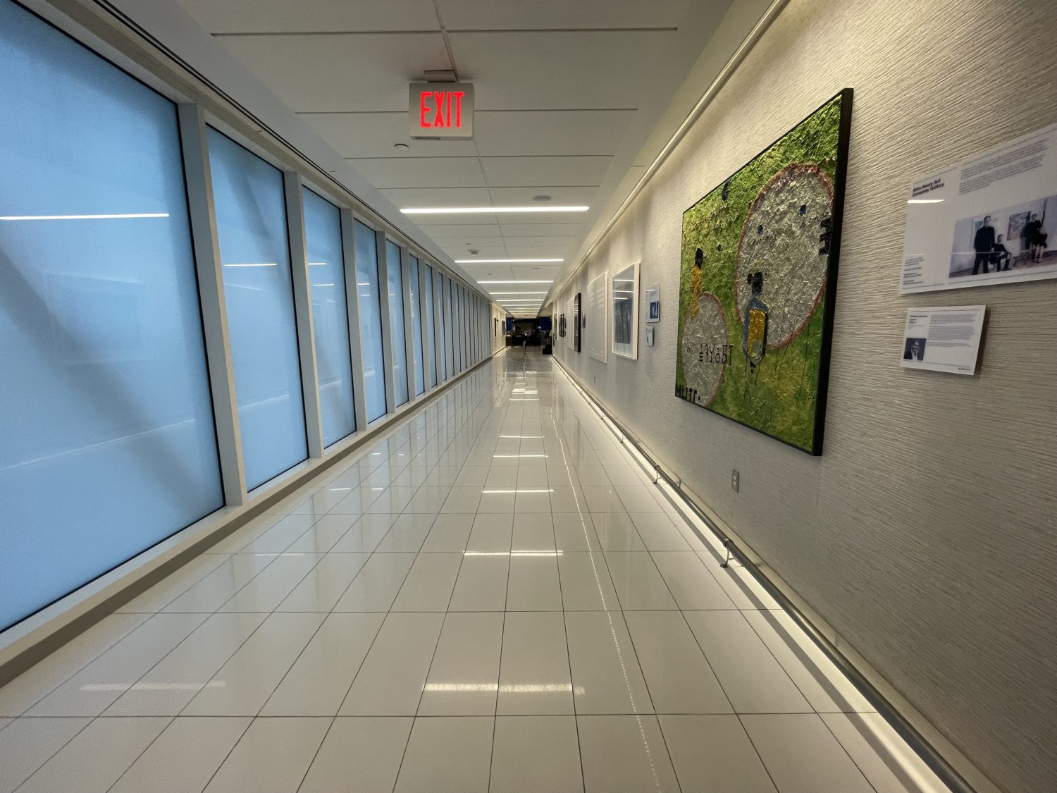 Atlanta Delta Sky Club