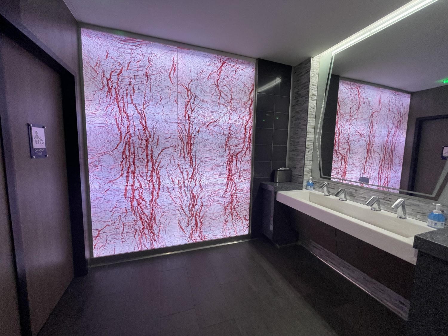 Atlanta Delta Sky Club