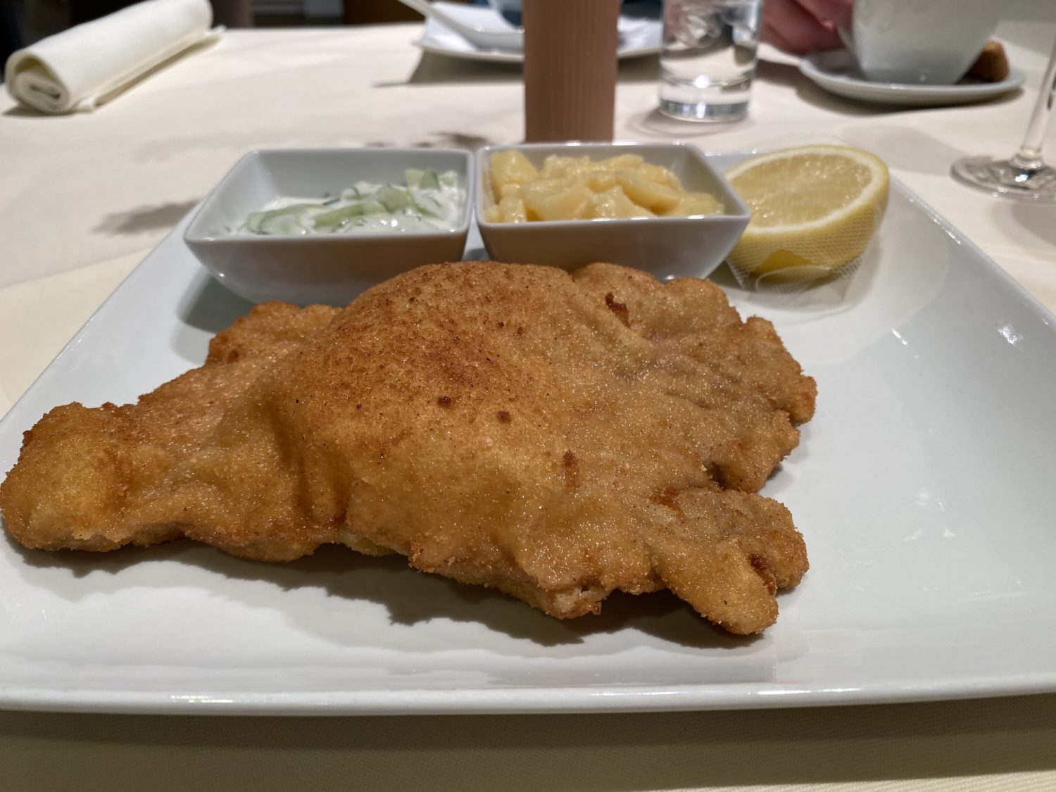 lufthansa terminal meal