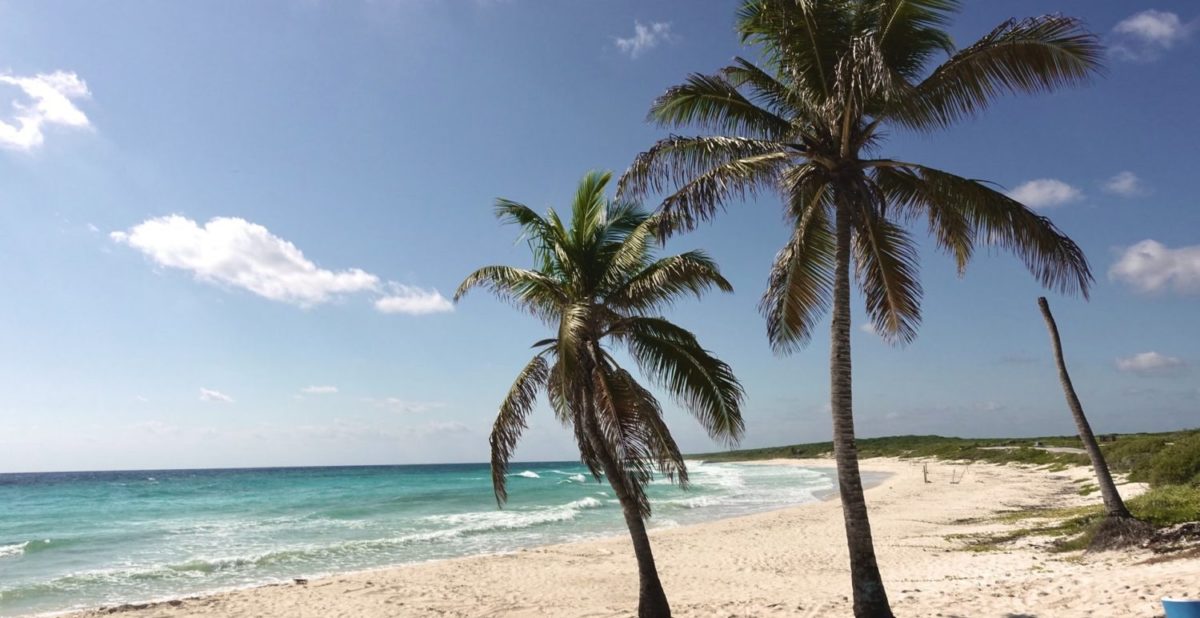 Want to Know When to Book Flights? New Google Flights Data Can Help 6 Cheap flights to Mexico