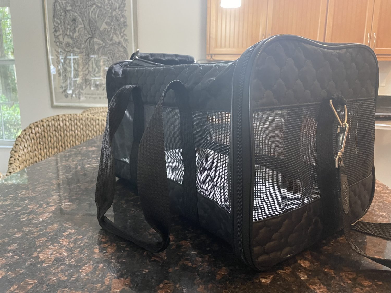 A black pet carrier without a pet inside. Mesh sides and a textured top. 