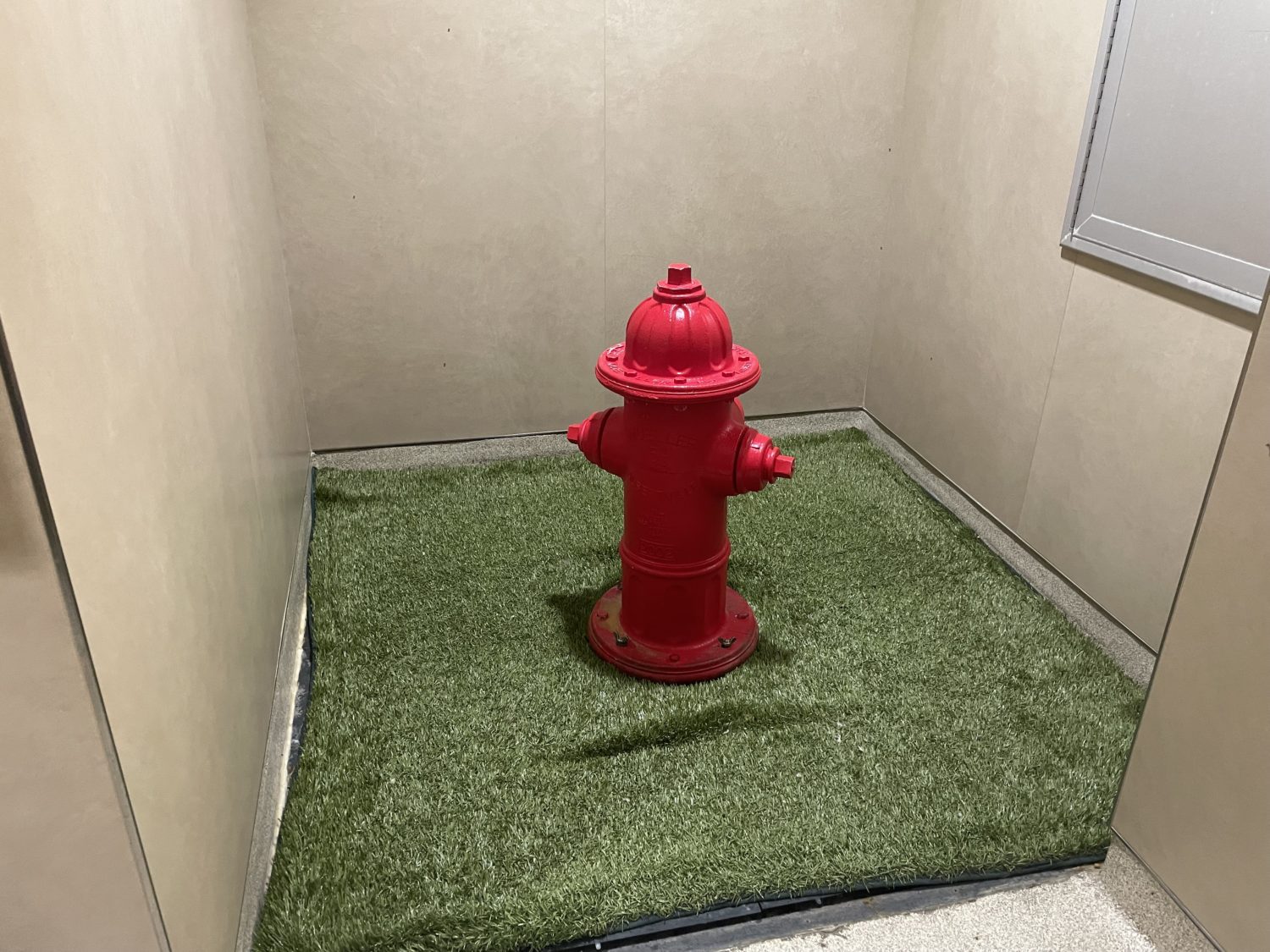 A fake red fire hydrant its on a patch of astroturf set against beige walls in an airport pet relief area. 