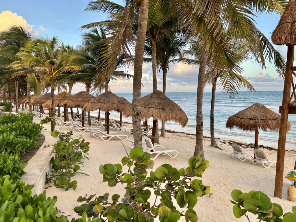 hyatt ziva riviera cancún beach