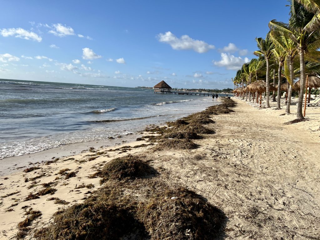 hyatt ziva riviera cancún beach